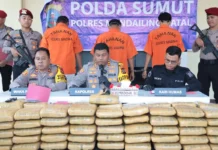 Satuan Reserse Narkoba Kepolisian Resor Mandailing Natal, Tangkap tiga Kurir 110 Kilogram Ganja
