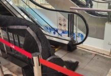 Anak 2,5 Tahun Kakinya Terjepit Eskalator dalam Mall CCM 2