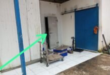 Diduga adanya Penggilingan Daging Untuk Bakso Dan Makanan Frozen Berbahan Daging Busuk serta Bercampur Bahan Kimia