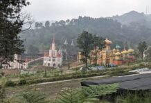 Pemkab Bogor Tinjau Ulang Izin Pembangunan Wisata di Kebun teh Puncak Bogor