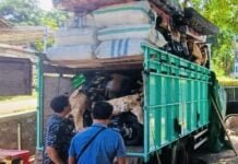 Polisi Gagalkan 17 Motor Bodong di Pati Akan Dikirim ke Kalimantan