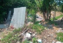 Bikin Ulah! Tumpukan Sampah di Desa Jasinga Perlu Disidak