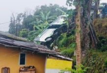 Bus Wisata Terperosok Masuk Jurang di Jalur Alternatif Puncak Bogor, Timpa Rumah Warga