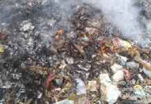 Pembakaran Sampah di Jasinga Bikin Warga Resah: Ancaman Lingkungan Mengintai