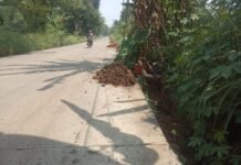 Tak Pasang Rambu-Rambu, Galian Kabel Telkom Di Dago Parung Panjang Ancam Keselamatan Pengendara