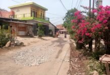 Proyek pembangunan jalan anggaran APBD Desa Cikuda kecamatan Parung panjang,Kab Bogor Tanpa Papan Informasi Abaikan UU KIP
