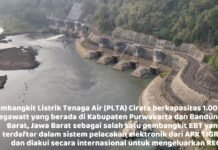 Lima Tahun Kepemimpinan Erick, Peminat Energi Hijau REC Jakarta Meningkat 24.579%