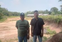 Diduga Peternakan Ayam Tak Berizin, Ketua LPKSM YAPERMA PAC Jasinga Akan Layangkan Surat Aduan