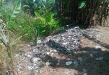 Pemuda Cikopomayak Nilai Pembakaran Sampah Secara Ilegal Dapat Timbulkan Dampak Negatif
