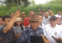 Peternakan Sapi Perah di Bogor, Ahmad Muzani : Ini Bisa Dikembangkan di Provinsi Lain