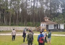 Pohon Tumbang Rusak Mushola di Cigorowong, Kapolsek Turun Tangan