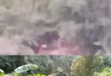 Tanpa Izin dan Merusak Alam, Tambang Emas Ilegal Marak di Bogor Barat