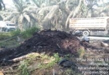 Pembuangan Limbah B3 Sama orang yang Tida di kenal di Lahan Perkebunan kelapa sawit