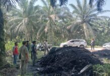 Pihak UPT Dinas Lingkungan hidup (DLH) Tinjow Lokasi Dugaan Pembuangan Limbah B3