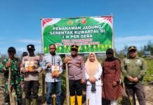 DPD dan DPK HMTN-MP Lakukan Penanaman Jagung Bersama Forkopimda