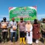 DPD dan DPK HMTN-MP Lakukan Penanaman Jagung Bersama Forkopimda