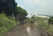 Jalan Rusak di Sekitar Kampus IPB Dramaga, Potret Miris Infrastruktur Pendidikan