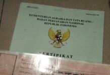 Diduga Oknum Sekdes Cibitung Tenjolaya Terlibat Malpraktik Surat Tanah, Satu Bidang Diterbitkan Dua Alas Hak Berbeda