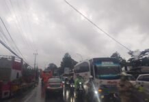 Arus Lalu Lintas di Gadog Puncak Padat Merayap, Kendaraan Mengular Arah Jakarta Sore Ini