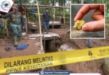 1.400 Tambang Emas Ilegal di TNGHS Ditutup Direktorat Penindakan Pidana Kehutanan