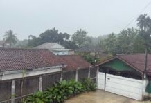 Hujan Guyur Kabupaten Bogor Sejak Siang Hari, Warga Diminta Waspada