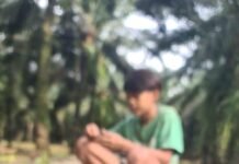 Bocah Ditinggal di Kebun Sawit, Modus Teman Baru Berujung Dugaan Penipuan