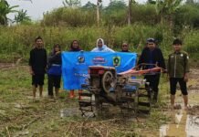 KNPI Jasinga Peringati Hari PETA Lewat Aksi Ketahanan Pangan di Lahan Pertanian