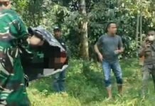 Tragedi Perburuan Babi Hutan di Jasinga, Seorang Anak Tewas Diduga Diserang Anjing Pemburu