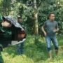 Tragedi Perburuan Babi Hutan di Jasinga, Seorang Anak Tewas Diduga Diserang Anjing Pemburu